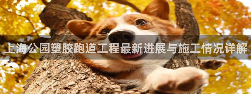 777814红·足一世比分