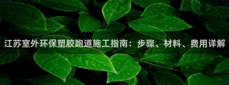 红足1世官网：江苏室外环保塑胶跑道施工指南：步骤、材料、费用详解