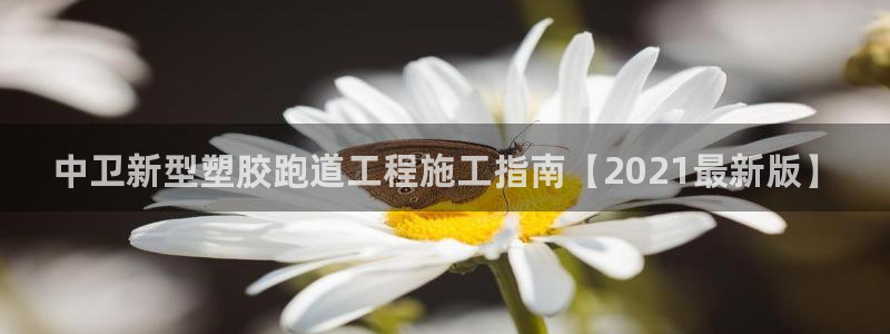 红足一1世：中卫新型塑胶跑道工程施工指南【2021最新版】