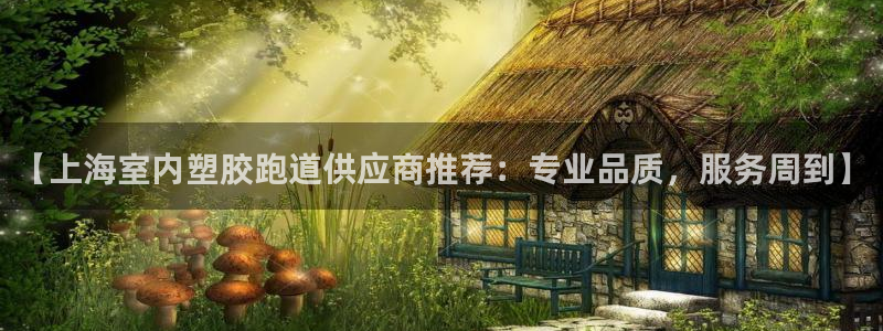 红足一1世手机版新皇冠：【上海室内塑胶跑道供应商推荐：专业品质，服务周到】