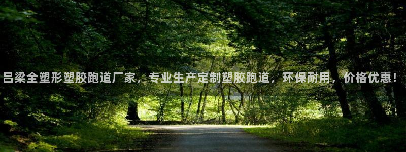 4633333开奖结果4176一点红：吕梁全塑形塑胶跑道厂家，专业生产定制塑胶跑道，环保耐用，价格优惠！