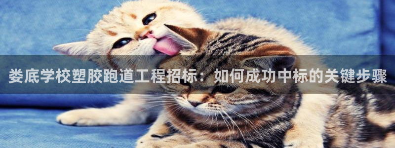55814红足1世：娄底学校塑胶跑道工程招标：如何成功中标的关键步骤