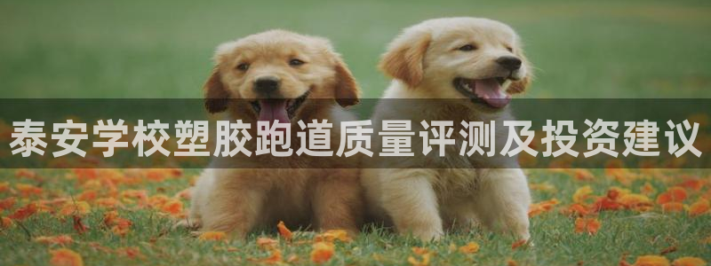 红足一1世平台：泰安学校塑胶跑道质量评测及投资建议