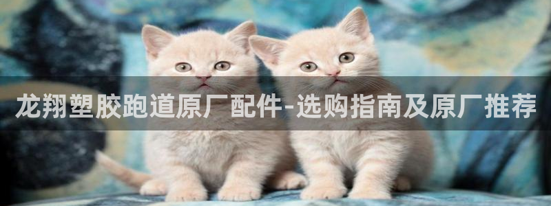 红足一1世比分：龙翔塑胶跑道原厂配件-选购指南及原厂推荐