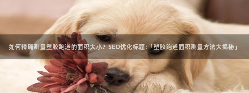 红足1世开奖预测：如何精确测量塑胶跑道的面积大小？SEO优化标题:「塑胶跑道面积测量方法大揭秘」
