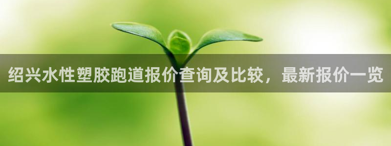 红世一足球比分：绍兴水性塑胶跑道报价查询及比较，最新报价一览