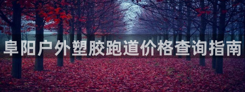 红足1世手机下载：阜阳户外塑胶跑道价格查询指南