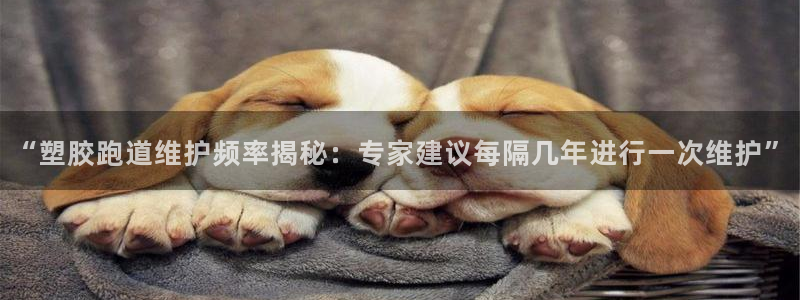 红足1世1站：“塑胶跑道维护频率揭秘：专家建议每隔几年进行一次维护”