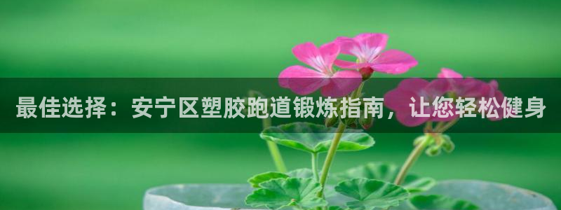 红足一1世66814：最佳选择：安宁区塑胶跑道锻炼指南，让您轻松健身
