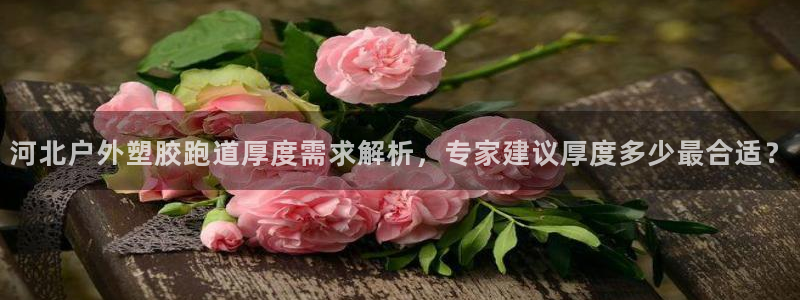 红足一1世官网：河北户外塑胶跑道厚度需求解析，专家建议厚度多少最合适？
