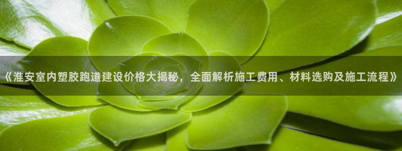 红足1世1站：《淮安室内塑胶跑道建设价格大揭秘，全面解析施工费用、材料选购及施工流程》