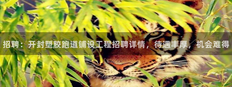 新2足球平台出租网站