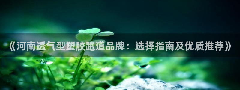 红足一1世66814新宝：《河南透气型塑胶跑道品牌：选择指南及优质推荐》