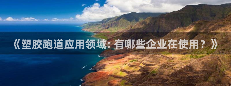 红足一1世开奖记录：《塑胶跑道应用领域: 有哪些企业在使用？》