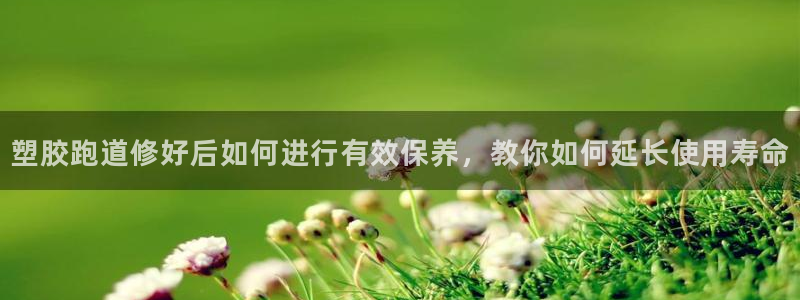 百度红足一1视频在线观看：塑胶跑道修好后如何进行有效保养，教你如何延长使用寿命