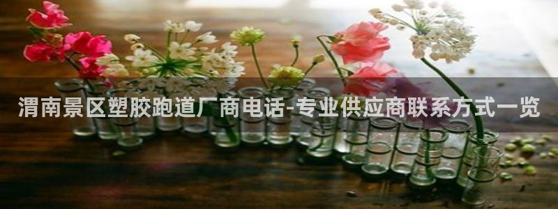 44814红足：渭南景区塑胶跑道厂商电话-专业供应商联系方式一览