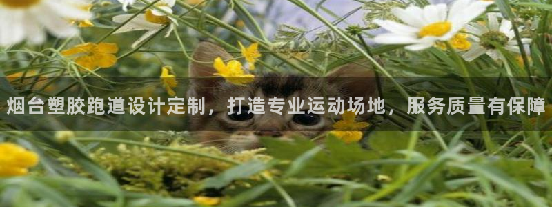 新2足球平台出租网站：烟台塑胶跑道设计定制，打造专业运动场地，服务质量有保障