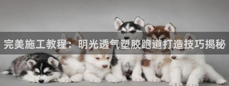 红足l一世开奖现场62ty：完美施工教程：明光透气塑胶跑道打造技巧揭秘