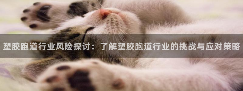 4633333开奖结果4176一点红