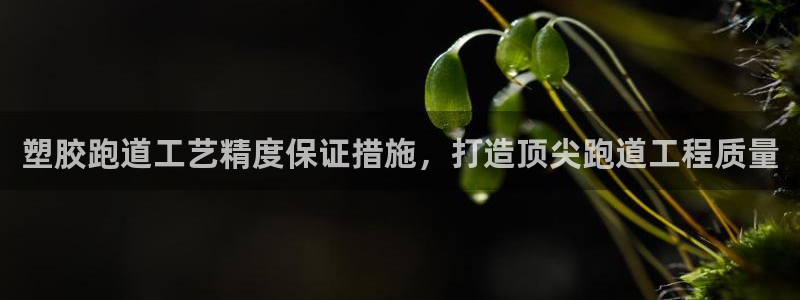 红足网足球直播
