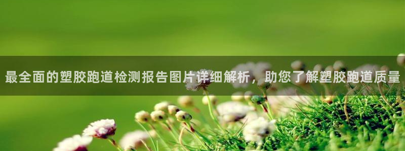 红足1世足球：最全面的塑胶跑道检测报告图片详细解析，助您了解塑胶跑道质量