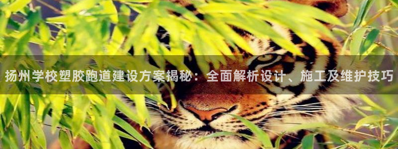 红足1世足球