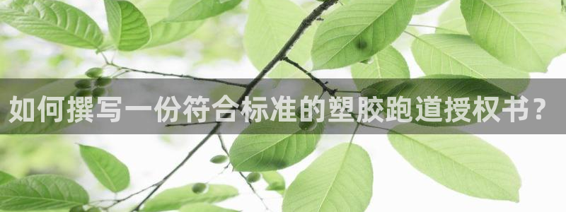 4633333开奖结果4176一点红：如何撰写一份符合标准的塑胶跑道授权书？