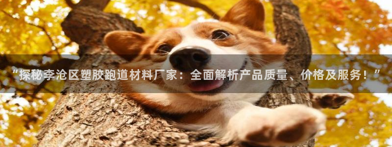 红足1世足球比分网址：“探秘李沧区塑胶跑道材料厂家：全面解析产品质量、价格及服务！”