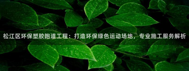 红足一球：松江区环保塑胶跑道工程：打造环保绿色运动场地，专业施工服务解析
