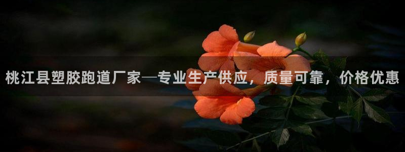 红足一1世666814最新结果：桃江县塑胶跑道厂家─专业生产供应，质量可靠，价格优惠