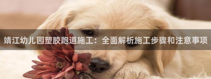 红足一：靖江幼儿园塑胶跑道施工：全面解析施工步骤和注意事项