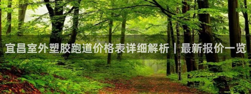 777814红·足一世：宜昌室外塑胶跑道价格表详细解析｜最新报价一览