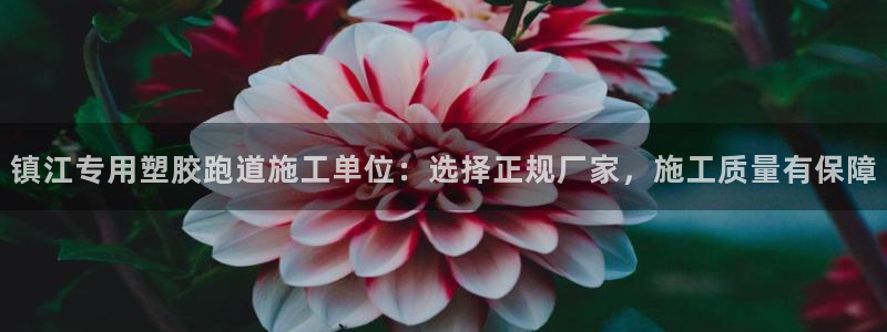 百度红足一1世：镇江专用塑胶跑道施工单位：选择正规厂家，施工质量有保障