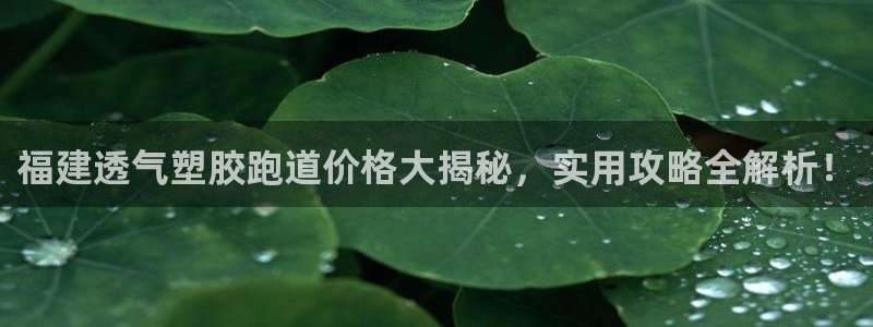 红足1世开奖预测：福建透气塑胶跑道价格大揭秘，实用攻略全解析！