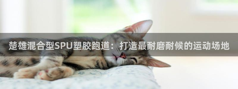 红足一1世77814：楚雄混合型SPU塑胶跑道：打造最耐磨耐候的运动场地