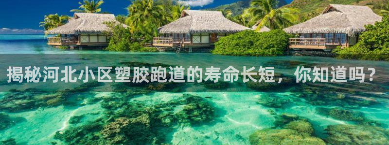 红足1世足球比分预测
