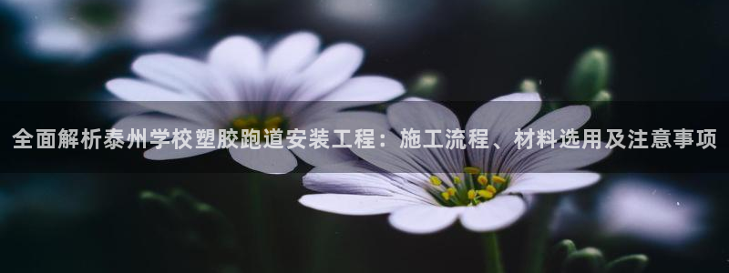 红足一1世即时比分：全面解析泰州学校塑胶跑道安装工程：施工流程、材料选用及注意事项