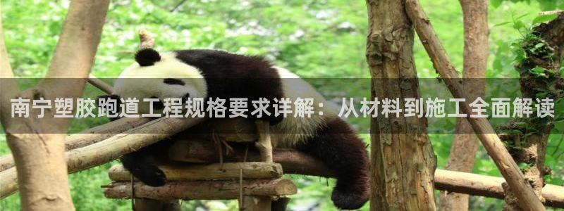 红足l一世开奖现场62ty：南宁塑胶跑道工程规格要求详解：从材料到施工全面解读