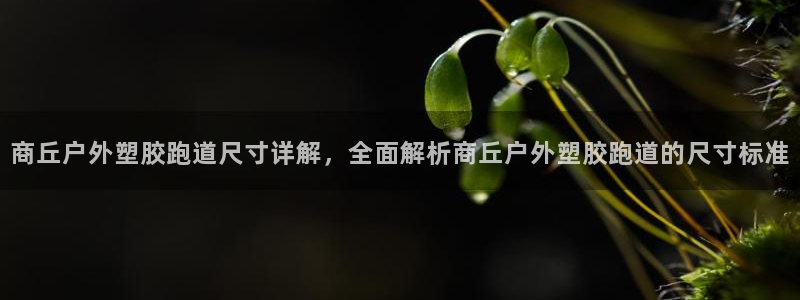红足1世官网：商丘户外塑胶跑道尺寸详解，全面解析商丘户外塑胶跑道的尺寸标准