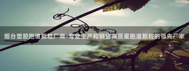 百度红足一1是干什么的