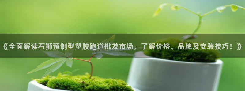 红足一1世平台：《全面解读石狮预制型塑胶跑道批发市场，了解价格、品牌及安装技巧！》