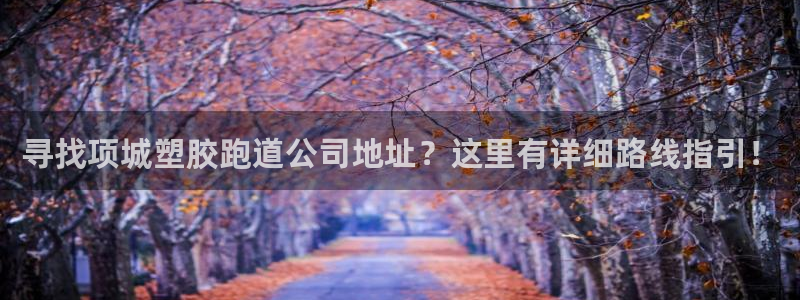 百度红足一1是什么样子的