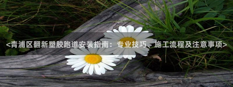 777814红·足一世比分：<青浦区翻新塑胶跑道安装指南：专业技巧、施工流程及注意事项>