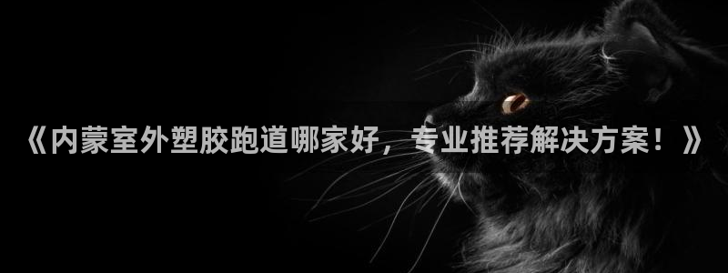 红足一1世皇冠：《内蒙室外塑胶跑道哪家好，专业推荐解决方案！》