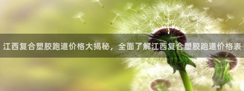 红足1一世红：江西复合塑胶跑道价格大揭秘，全面了解江西复合塑胶跑道价格表