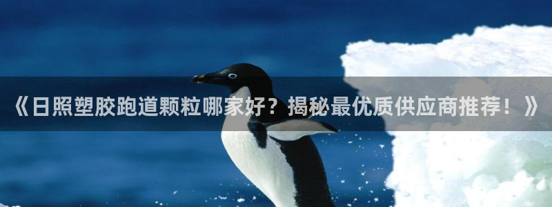 红足一：《日照塑胶跑道颗粒哪家好？揭秘最优质供应商推荐！》