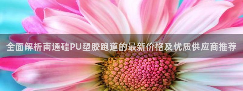 红足一比分网：全面解析南通硅PU塑胶跑道的最新价格及优质供应商推荐
