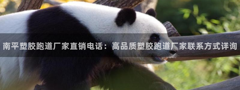 新2足球平台出租网站：南平塑胶跑道厂家直销电话：高品质塑胶跑道厂家联系方式详询
