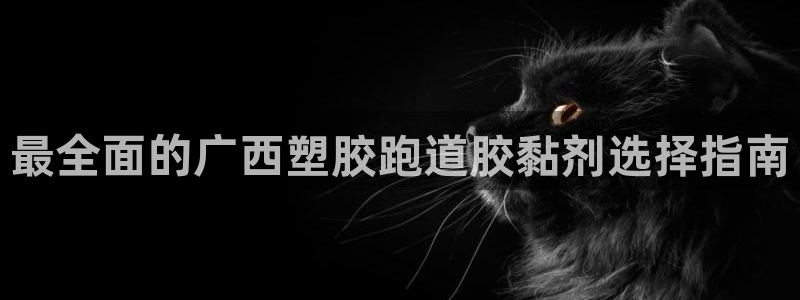 红足1世开奖预测：最全面的广西塑胶跑道胶黏剂选择指南
