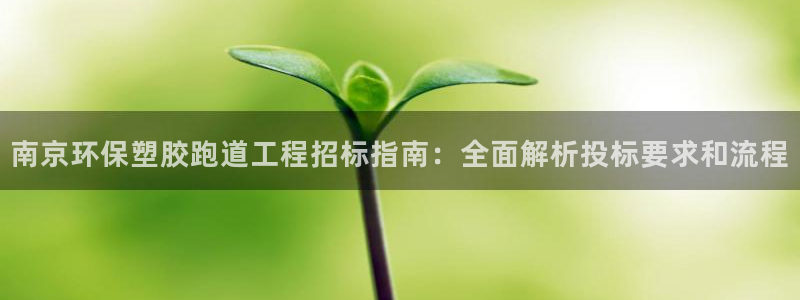 红足1世手机版下载：南京环保塑胶跑道工程招标指南：全面解析投标要求和流程